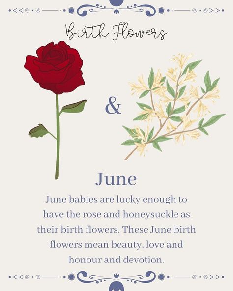 Just a simple announcement for the June babies… our month is here! 🌸🌺🌹🌷🌼 Even though my bday is at the end of June I’ll be repping all month. I am a true summer baby, a true June baby, and I love all things June! I literally just found out that rose is our flower, and it’s my favorite flower too! I grow them all around my house. Now it makes sense 🌹🌹🌹 Whats your birth month? What do you have in common with your month? June Flower, June Birth Flower, June Birthday, Influencers Fashion, Birth Month, Summer Baby, Birth Flowers, Influencer, Flowers