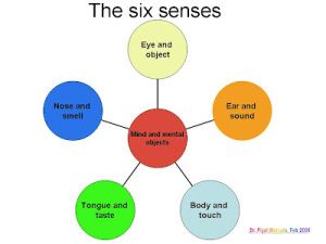 The six senses Hinduism History, The 5 Senses, Bad Karma, Six Senses, Buddhist Teachings, 5 Senses, Sound Mind, Old Age, The Goal