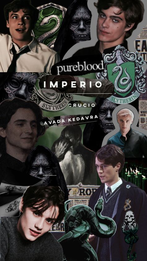 Harry Potter Riddles, Harry Potter Wallpaper Backgrounds, Riddle Pictures, Slytherin Wallpaper, Slytherin Boys, Maze Runner Funny, Best Riddle, Slytherin Harry Potter, Draco Harry Potter