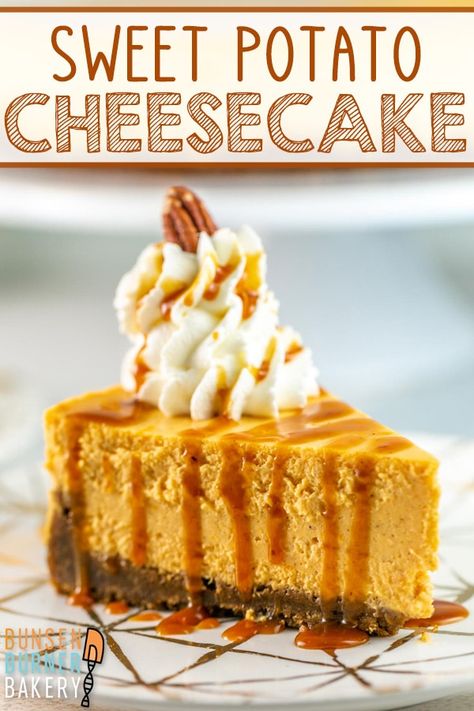 With a gingersnap crust and classic warming fall spices, Sweet Potato Cheesecake is deliciously light and fluffy and full of freshly-roasted sweet potatoes. Sweet Potato Cheesecake, Gingersnap Crust, Dessert Board, Cheese Pumpkin, Ginger Snap Cookies, Dessert Cake Recipes, Potato Pie, Sweet Potato Pie, Fall Spices