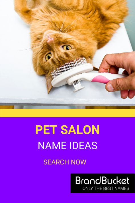 Have you been looking for a brand name for your pet grooming salon? We have plenty of options! Get a premium brand name here! pet grooming salon, pet grooming business, pet grooming van, pet grooming shop, pet boarding business names, pet grooming business names, dog grooming, dog grooming salon ideas, dog grooming salons, cat grooming salon, cat groomer, business name generator, business name ideas unique, clever startup name, catchy business name Cat Grooming Salon, Business Name Ideas Unique, Grooming Salon Ideas, Dog Grooming Salon Ideas, Name Ideas Unique, Pet Grooming Shop, Grooming Salons, Names Dog, Salon Names Ideas