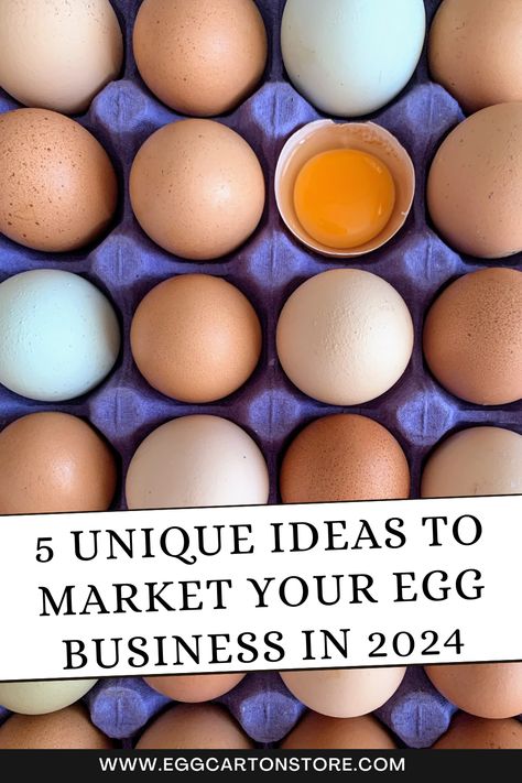 Get inspiration for egg business marketing tactics in our blog! Fun Business Ideas, Egg Business, Best Egg Recipes, Ideas For Backyard, Egg Packaging, Egg Shop, Chicken Nesting Boxes, Egg Production, Farm Fresh Eggs