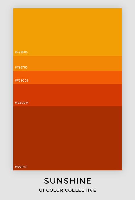 Sunshine Color Palette Southwest Sunset Color Palette, Sun Color Pallete, Blood Orange Color Palette, Sunrise Color Palette Mornings, Sunny Color Palette, Golden Hour Color Palette, Sunshine Palette, Sunshine Color Palette, Sun Color Palette