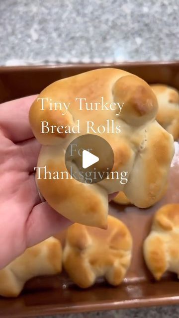 The Wishing Elephant on Instagram: "Meet the Turkey rolls you didn’t know you needed 🩷 #thanksgivingdinner #thanksgiving #bread" Rhodes Turkey Shaped Rolls, Rolls That Look Like Turkeys, Turkey Rolls For Kids, Dinner Rolls Shaped Like Turkey, Rolls Shaped Like Turkeys, Turkey Shaped Rolls Thanksgiving, Turkey Shaped Bread Rolls, Turkey Shaped Bread Loaf, Turkey Bread Rolls