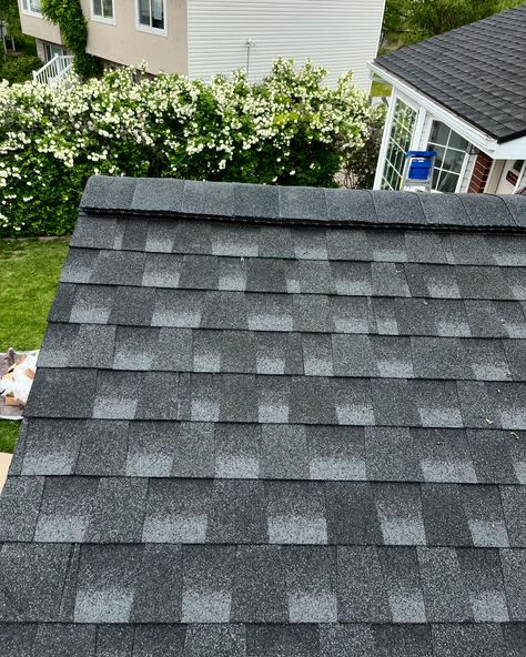 Need a new roof? We’ve got you covered, literally😉 #roof #roofer #rooftops #roofers #roofing #roofinginstallation #homeinspo #homeimprovement Home Windows, New Roof, Windows Doors, House Windows, Rooftops, Roof, Solar, Siding, Home Improvement