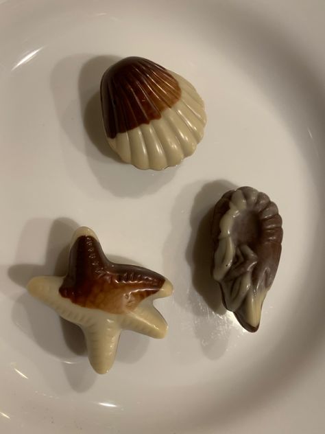 cute yummy milk chocolate seashell ocean candy Sea Shells Chocolate, Sena Core, Seashell Chocolates, Chocolate Seashells, Ice Cream Muffins, Long Widget, Chocolate Aesthetic, Junk Food Snacks, Chocolate Fruit