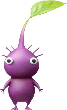 Purple Pikmin are a troglobitic species of Pikmin found in Pikmin 2 and Pikmin 3. They are first found in the Emergence Cave. They have six hairs, used as feelers rooted in their heads. These hairs are a real thing that plants like the Venus Flytrap use. They are called trichomes. They are sensitive and tough hairs that plants use to detect their surroundings, as well as defend themselves from attempts at being eaten. These Pikmin are very strong due to their weight and are the most durable ... Purple Pikmin, Venus Flytrap, Kawaii Tattoo, Venus Fly Trap, Video Game Characters, Box Art, Diy Party, Olaf The Snowman, Holidays And Events