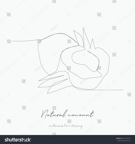 Coconut Drawing, Coconut Illustration, Hand Drawing Sketch, Drawing Natural, Simple Vector Illustration, Easy Flower Drawings, Continuous Line Drawing, Continuous Line, Flower Template