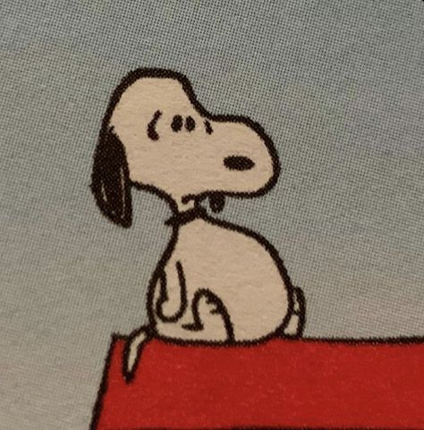 Snoopy Images, Snoopy Wallpaper, Snoopy Pictures, Snoop Dog, Snoopy Love, Mia 3, Cartoon Memes, Peanuts Gang, Snoopy And Woodstock