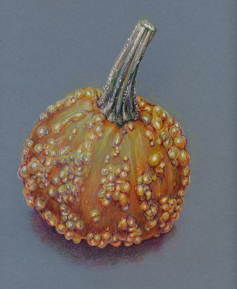 A very bumpy pumpkin. Bumpy Pumpkin, Colored Pencil, Pen Drawing, Colored Pencils, Pencil, Drawings, Color, Coloured Pencils