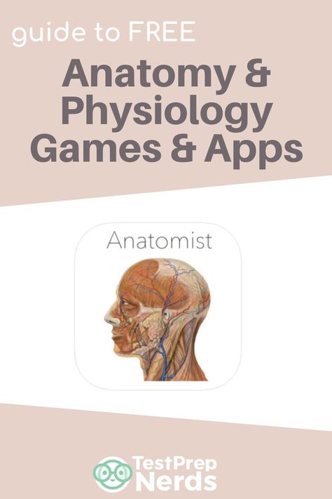 free anatomy and physiology games How To Ace Anatomy And Physiology, Studying Anatomy, Med School Study, Getting Into Medical School, Mcat Prep, Mcat Study, School Lifestyle, Academic Life, Gross Anatomy