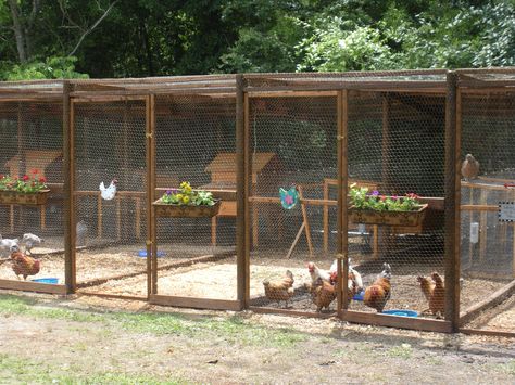 New chicken pens we built. | BackYard Chickens Chicken Coop Building, Reban Ayam, Chicken Pens, Urban Chicken Farming, Chicken Pen, Urban Chickens, Chicken Coop Run, Chicken Coop Designs, Keeping Chickens