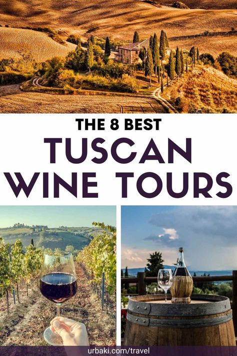 Best Wine Tours In Tuscany, Florence Italy Wine Tours, Florence Wine Tour, Florence Countryside, Tuscany Italy Wineries, Best Wineries In Tuscany, Tuscany Winery, Tuscan Winery, Tuscany Wineries