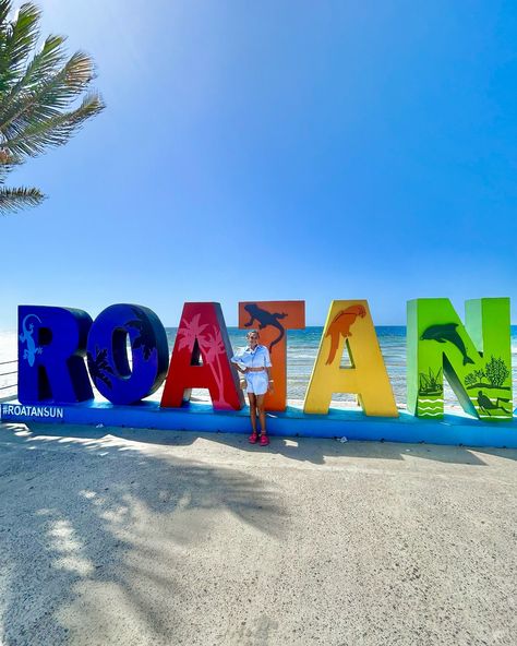 Hugging the cutest sloth in Roatán 🦥 🇭🇳 #roatan #honduras #sloth #travelmoments Roatan Honduras, Travel Moments, Roatan, Cute Sloth, Honduras, Sloth, The Cutest, Collage, Pins