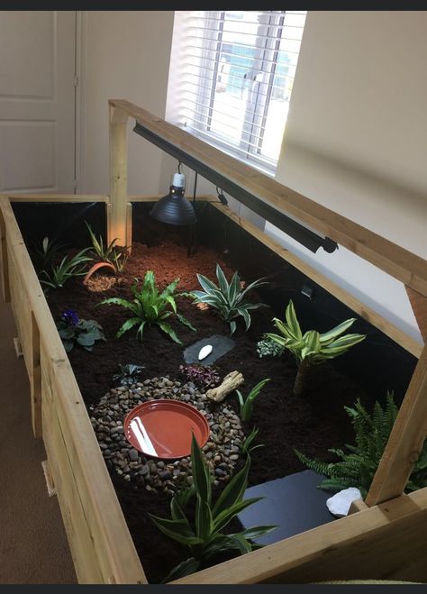 Tortoise Tank Ideas Indoor, Tortoise Table Diy, Red Footed Tortoise Habitat Indoor, Tortious Habitat Indoor, Tortoise Indoor Enclosure, Sulcata Tortoise Habitat Indoor, Indoor Tortoise Enclosure Diy, Indoor Tortoise Enclosure, Tortoise Habitat Indoor