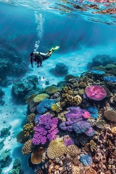 Great Barrier Reef Diving, Barrier Reef Australia, Vision Board Photos, The Great Barrier Reef, Culture Magazine, Marine Conservation, Ocean Vibes, Coral Reefs, Marine Biology