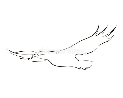 Hawk Outline Tattoo, Hawk Tattoo Small Outline, Hawk Tattoo Feminine Simple, Hawk Line Art, Fine Line Hawk Tattoo, Minimalist Hawk Tattoo, Eagles Wings Tattoo, Minimalist Eagle Tattoo, Pops Tattoo