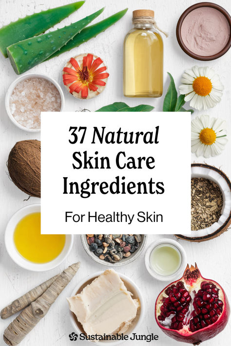 With a plethora of “natural” ingredients out there how exactly do you differentiate between the best, most effective natural skin care ingredients that will actually improve the health of your skin? This skin care guide will help (and it includes a glossary of need to know terms)! Natural Skin Care Recipes Simple, Natural Skincare Ingredients, Natural Skin Moisturizer, Natural Skincare Recipes, Skin Care Ingredients, Natural Skin Care Ingredients, Skin Care Guide, Natural Skin Care Products, Flawless Makeup Application