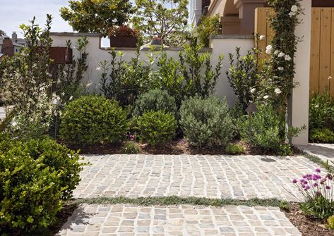 Balboa Beauty - Garden Studio Design Outdoor Kitchen, Landscape Design Garden, Yard Remodel, Sb Design, Cobble Stone, Summer House Garden, Exterior Furniture, House Photo, Front Landscaping