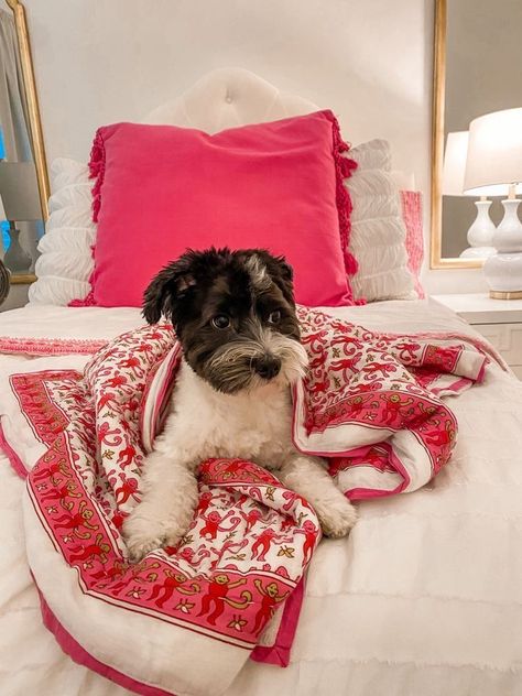 Preppy Room inspo, Bedroom Inspo, Pink room inspo, Summer bedroom redo, Dog Picture, Pink room, Preppy bed, Bedroom fecir inspo Preppy Dog, Preppy Things, Preppy Inspiration, Scene Queens, Monster High Art, Really Cute Dogs, Roller Rabbit, Preppy Room, Preppy Wallpaper