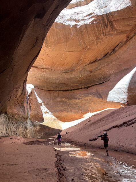 Cathedral in the Desert – Glen Canyon Institute Glen Canyon Dam, Most Beautiful Places On Earth, Glen Canyon, Utah Road Trip, Desert Dream, Places On Earth, Lake Powell, Southern Utah, Arizona Travel