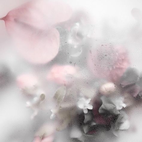 spotify playlist cover Angelic Aesthetic, Playlist Covers Photos, Soft Pink Theme, Instagram Feed Ideas Posts, Phone Inspiration, Nothing But Flowers, Instagram Feed Ideas, Pink Themes, Spotify Playlist