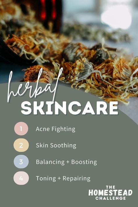 Natural Remedies Herbs That Are Good For Skin, Skin Soothing Herbs, Acne Herbal Remedies, Herbs For Healthy Skin, Herbs For Dry Skin, Herbs For Acne Clear Skin, Herbs For Clear Skin, Herbs For Acne, Herbs For Skin Care