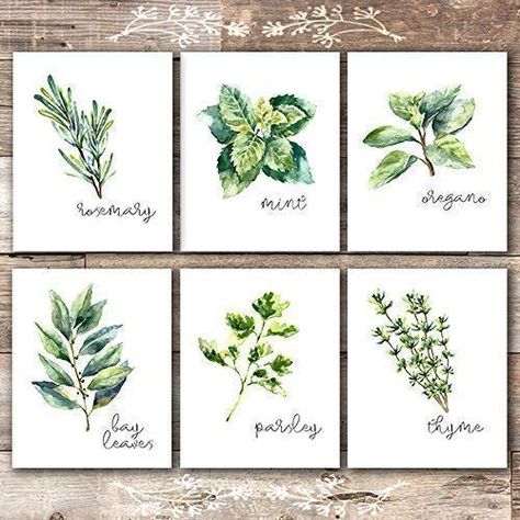 The Best Pictures For Kitchen Wall Decor That Everyone Will Love - SwankyDen.com Pictures For Kitchen Walls, Classic Farmhouse Decor, Sparrow Art, Herb Art, Wanderlust Art, Kitchen Artwork, Kitchen Glass, Kitchen Herbs, Kitchen Art Prints