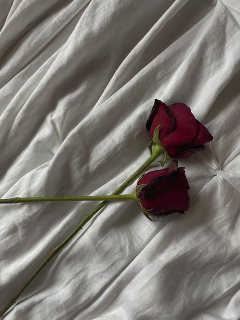 #flowers #roses One Rose Aesthetic, Roses On Bed Aesthetic, Dark Red Rose Aesthetic, Rose Flower Aesthetic Red, Deep Red Rose Aesthetic, Single Red Rose Aesthetic, Rose In Hand, Rose Dark Aesthetic Flower, Rose Pic