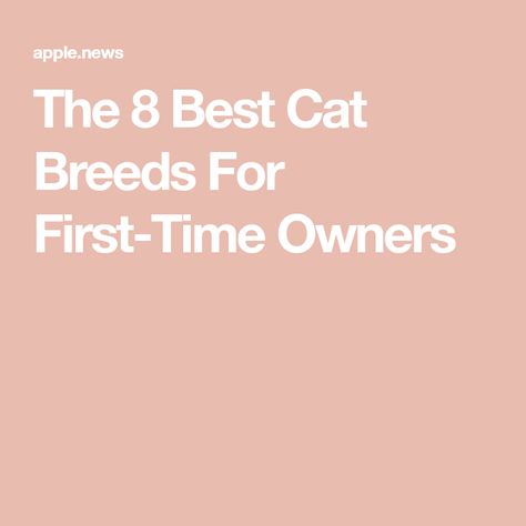 The 8 Best Cat Breeds For First-Time Owners Best Cat Breeds, Getting A Kitten, New Cat, The Homestead, Best Cat, Rodents, Off The Grid, The 8, Cool Cats