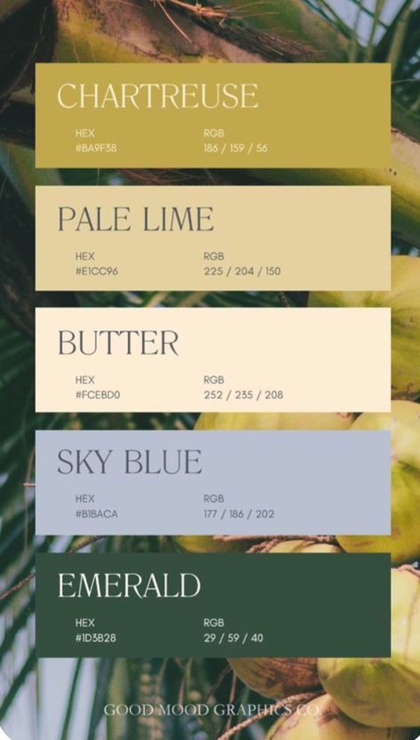 Trending Color Schemes, Fresh Colour Pallete, Tropical Pallet Colour Palettes, August Colors 2024, Honeydew Color Palette, Colors That Go With Chartreuse, What Colors Compliment Green, Meditterean Color Palette, September Color Palette 2024