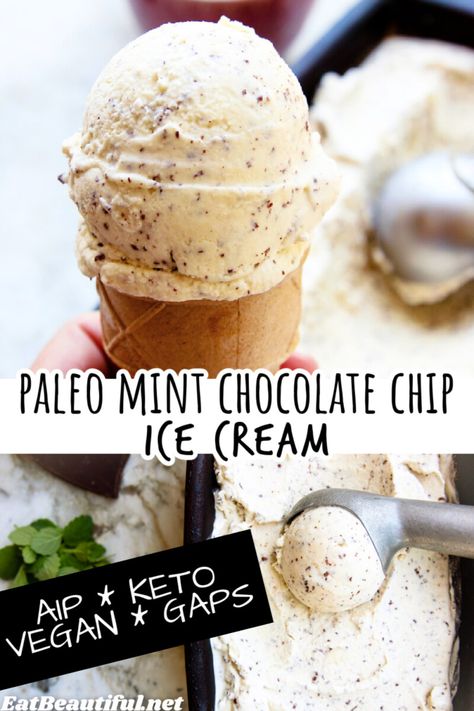 Keto Mint Chocolate Chip Ice Cream, Paleo Ice Cream Recipes Machine, Dairy Free Mint Chocolate Chip Ice Cream, Aip Dairy Free Recipes, Vegan Mint Chocolate Chip Ice Cream, Dairy Free Peppermint Ice Cream, Diy Dairy Free Ice Cream, Aip Ice Cream Recipes, Paleo Ice Cream Recipes