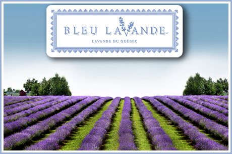 Bleu Lavande , Magog Quebec Magog Quebec, Ways To Motivate Employees, Motivate Employees, Wish Granted, How To Motivate Employees, Incentive Programs, Travel Goals, The Prestige, Make It Simple