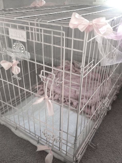 Pink Cage Aesthetic, Pink Dog Cage Aesthetic, Cute Crates For Dogs, Pet Play Dog Cage, Dog Cage Ideas, Cute Dog Crate, Pink Dog Crate, Cage Aesthetic, Cage For Dogs