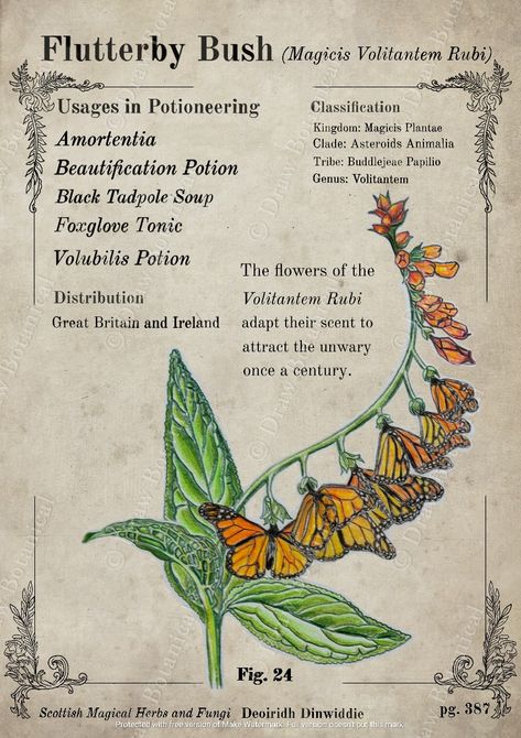 Harry Potter Herbology Poster, Harry Potter Plants Herbology, Hogwarts Herbology Aesthetic, Magical Plants Art, Mythical Plants, Herbology Harry Potter, Herbology Aesthetic, Herbology Book, Dnd Plants