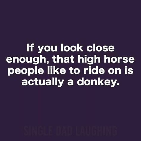 If you look close enough, that high horse people like to ride on is actually a donkey. High Horse, Horse Quotes, Single Dads, Laughter Is The Best Medicine, Just Funny, Wonderful Words, Sarcastic Quotes, Too Funny, Bones Funny