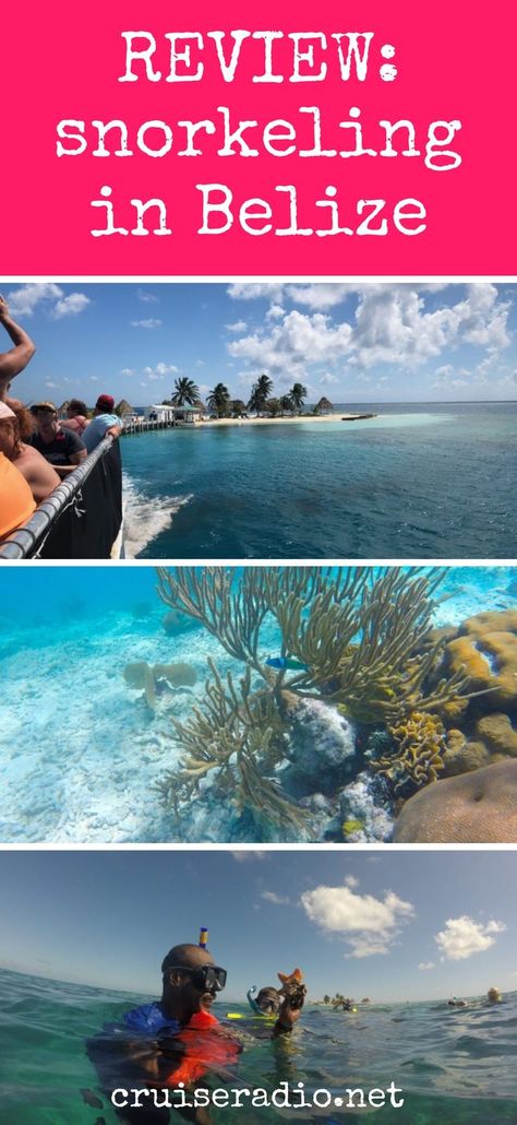 Review: Snorkeling Wonders of Barrier Reef in Belize #snorkel #snorkeling cruise excursion #excursion #holiday travel tips #boat #ship #barrierreef #reef #tour cruise tips How To Snorkel, Belize Snorkeling, Shark Ray, Travel Belize, Belize Barrier Reef, Belize Beach, Belize Resorts, Belize Vacations, Caye Caulker