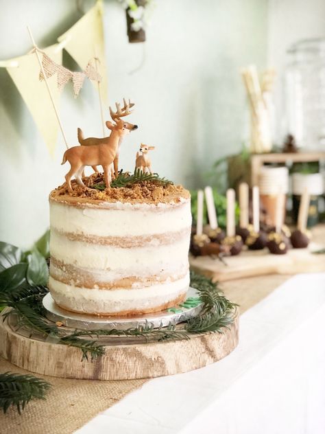 Woodland Themed Cake, Build A Floating Bed, Winter Woodland Birthday, Hunting Cake, Forest Birthday Party, Forest Birthday, Woodland Birthday Party, Safari Theme Birthday, Baby Boy First Birthday