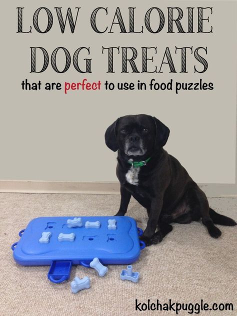 Low Calorie Dog Treats, Dog Treat Ideas, Dehydrator Dog Treats, Frozen Dog Treats, Best Treats For Dogs, Chippers, Frozen Dog, Diy Dog Treats, Dog Weight