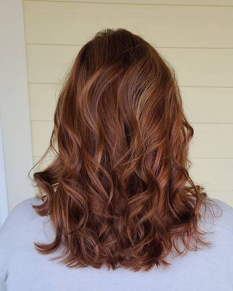 Light Natural Auburn Hair, Natural Looking Auburn Hair, Auburn Highlights In Brown Hair Curly, Copper Hair With Dimension, Highlights For Auburn Hair, Auburn Low Lights, Summer Auburn Hair Color, Light Auburn Hair Color With Highlights, Auburn Hair Short