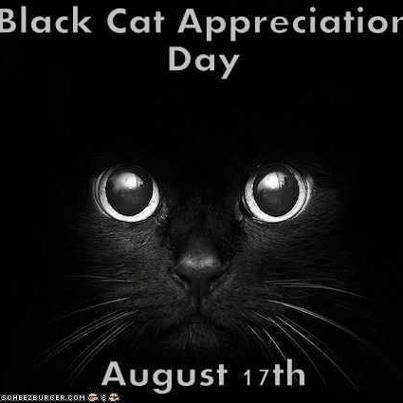 Are house cats color blind? if so what colors can they see if any.? Black Appreciation, Black Cat Appreciation Day, What Is Your Favorite, Cat Posters, August 17, Yellow Eyes, Pet Life, Cat Colors, Black Cats