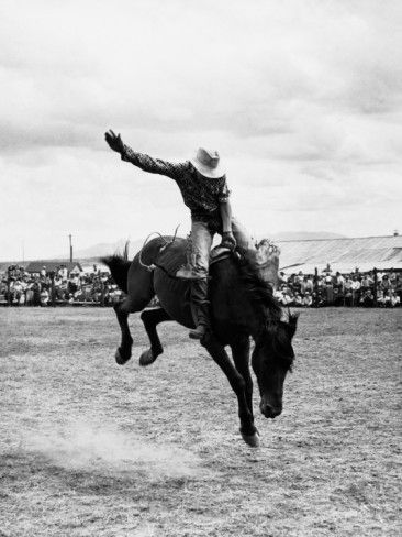 Western Aesthetic Wallpaper, The Scorpio Races, Teen Book, Cowboy Photography, Teen Books, Cowboy Posters, Bronc Riding, Country Backgrounds, Western Prints