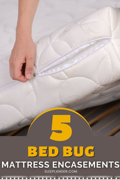 Protect you and your family against bed bugs with mattress encasements! Here we take an in-depth look into how mattress encasements work, how you can tell if your mattress has bed bugs and how to remove bedbugs from a mattress. Rv Bedding, Mattress Encasement, Drinks Before Bed, Best Bed Sheets, Sleep Health, Best Sheets, Sleep Routine, Bed Bugs, Restful Sleep