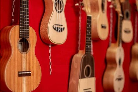 How To Hang Ukulele on Wall- Ukulele The Pickle - PicklePwns Hang Ukulele On Wall, Hanging Tree Ukulele Chords, Ukulele Holder Wall Mount, Slipping Through My Fingers Ukulele, Pink Ukulele, Ukulele Wall Mount, Ukulele Stand, Ukulele Play Along, Ukulele Tuner