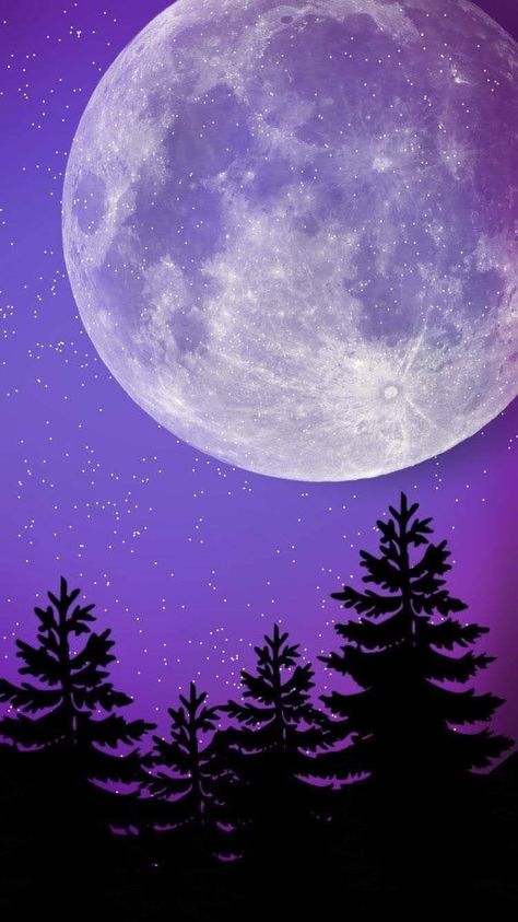 Full Moon Pictures, Purple Galaxy Wallpaper, Wolf Silhouette, Dark Purple Aesthetic, Night Sky Wallpaper, Moon Pictures, Moon Painting, Moon Photography, Purple Art