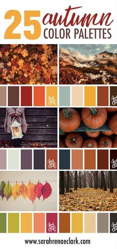 Color Pallets Inspiration For Home, Autumn Decor Color Palette, Fall Cookie Color Palette, Orange Wood Color Palette, Fall Palette Colour Schemes, Fall Color Palette Home, Fall Decor Color Schemes, Fall Color Pallettes, Fall Wedding Mood Board