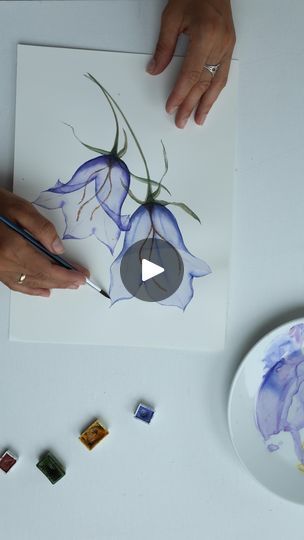 3.5K views · 359 reactions | Watch one of the painting projects from my book with  bellflower tutorial on my YouTube channel 🎥 for free!  Book published by @searchpress 💙  Comment OLGABOOK below ⬇️ and I will send you a link to my book “How to paint Watercolor Transparent Flowers”🤗📚🎨  . . #transparentflowers  #winsorandnewtonwatercolors #watercolorpainting #botanicalillustration#artbook#howtopaint   #watercolorsociety #artreelsofinstagram #paintinginprogress | Olga Koelsch | Fjellson Weber · Magie des fleurs Olga Koelsch, Paint Watercolor, Transparent Flowers, Winsor & Newton, Botanical Illustration, Painting Projects, My Youtube Channel, Painting Tutorial, Book Publishing