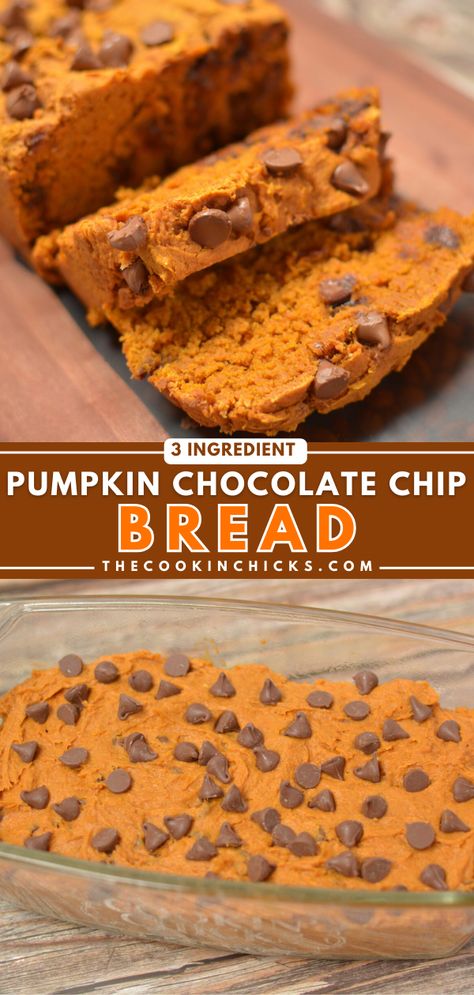 This quick and easy 3 Ingredient Pumpkin Chocolate Chip Bread comes together in no time and is packed with Fall flavor! Ready for the oven in under 5 minutes, this recipe is fool proof and family approved! If you’re a pumpkin lover, this is the recipe for you! 3 Ingredient Pumpkin Chocolate Chip Muffins, 3 Ingredient Chocolate Chip Pumpkin Bread, Pumpkin Chocolate Chip Cookies Easy Cake Mixes, Pumpkin Quick Bread Mix Recipes, 3 Ingredients Pumpkin Bread, Pumpkin Bread 2 Ingredients, Pumpkin Bread 3 Ingredients, Choc Chip Pumpkin Bread, Easy Pumpkin Chocolate Chip Bread