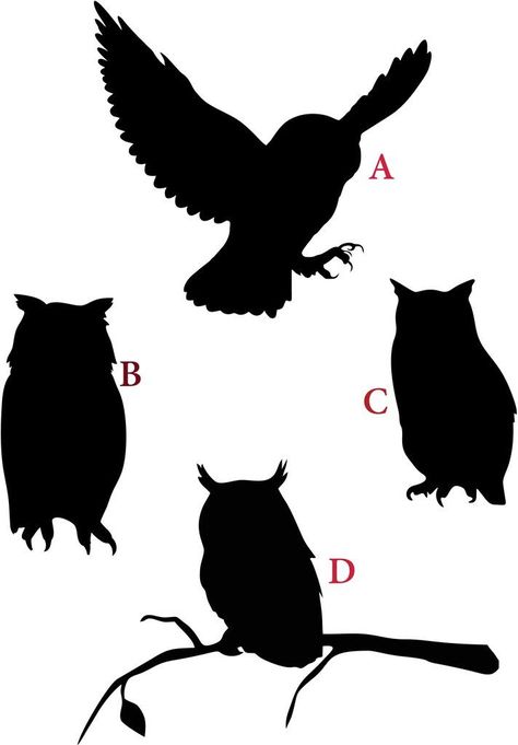 Owl Stencil, Bird Silhouette Art, Vogel Silhouette, Owl Silhouette, Glass Mirrors, Silhouette Stencil, Silhouette Vinyl, Bird Silhouette, Animal Silhouette