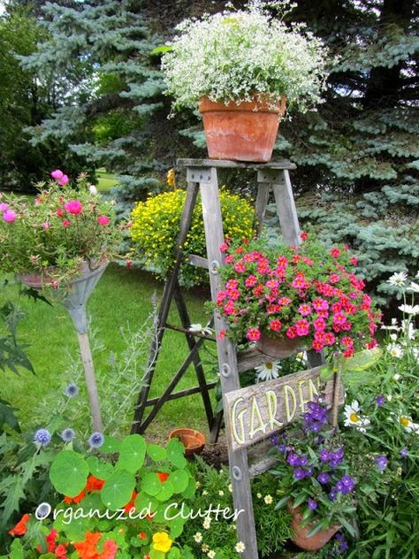 Ladders In The Garden, Flowers And Garden, Garden Ladder, Garden Organization, Old Ladder, Potted Flowers, Garden Junk, Garden Steps, Vintage Garden Decor